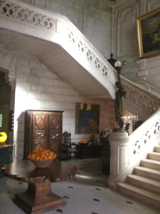 Chateau-Hotel De Nieuil Eksteriør billede